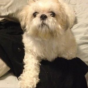 Meet your Posher, Andrene